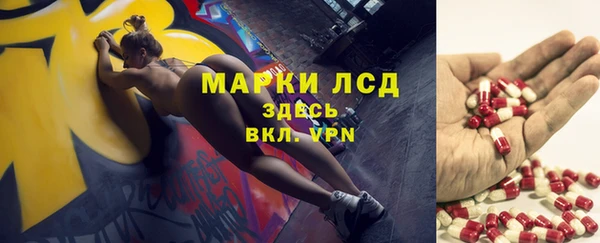 прущие грибы Михайловка