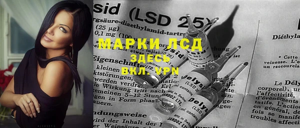 прущие грибы Михайловка