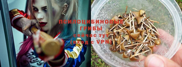 бутират Медвежьегорск