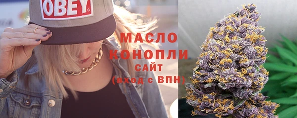 сатива Медногорск