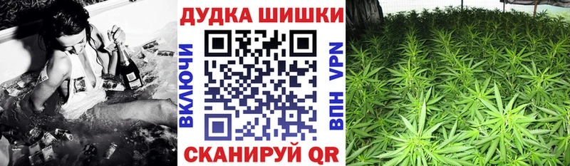 Марихуана сатива  Кемь 